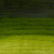 371386, Artisan Water Mixable Oil, Permanent Sap Green, 200ml.