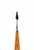 419035, Painting Knife, Towel, A