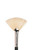 402156, Winton Hog Brushes; Fan, 5977 708  Size 8