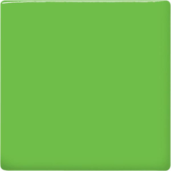 611553, TP-43 Leaf Green Teacher's Palette 16oz.