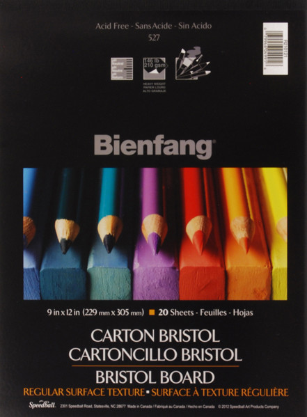 342999, Nelson White Bristol Board, 9"x12"