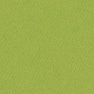 341614, Canson Mi-Teintes, Green, 19"x25"