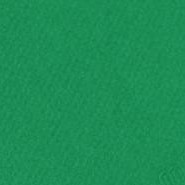 341626, Canson Mi-Teintes, Viridian, 19"x25"