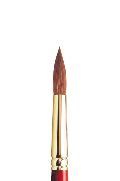 402014, Sceptre Gold II Brush: Series 101 Short Handled Round #  12