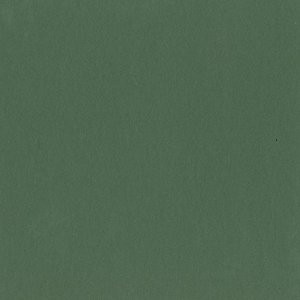 343427, Decorative Matboard, Cypress, 20 x 32 in