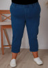 Plus Size Stretch Denim In Indigo Blue Curvaceous