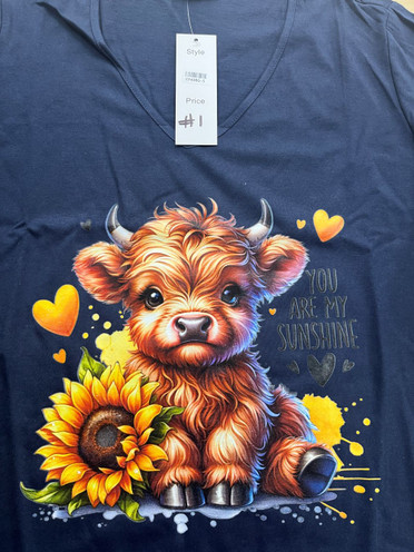 Plus Size 2NDS You Are My Sunshine V Neck Printed Top Size 18