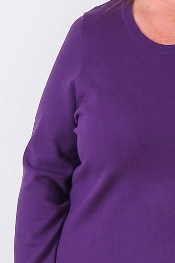 Plus Size Long Sleeve Top In Purple