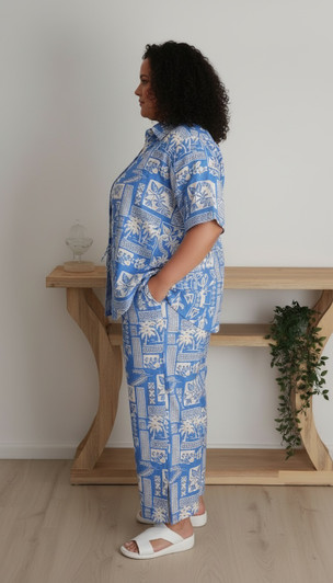 Plus Size blue and white shirt 