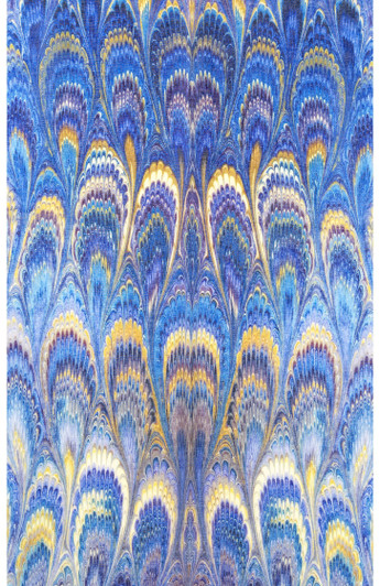 Fantastic Blue and Yellow Scarf