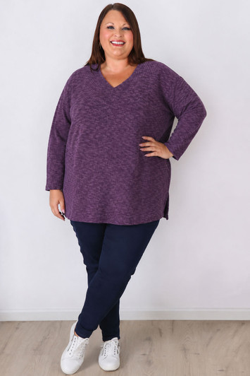 Plus Size Purple Casual Long Sleeve Top