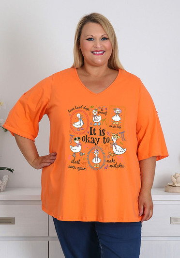  It Is Okay Orange V Neck Top Size 20
