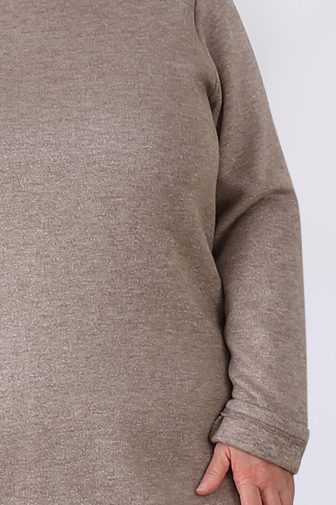 Plus Size Taupe Sparkle Long Sleeve Top