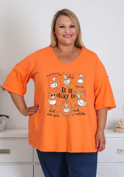 It Is Okay Orange V Neck Top Size 20
