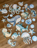 Under the Sea Cutout Set - 5mm Corflute