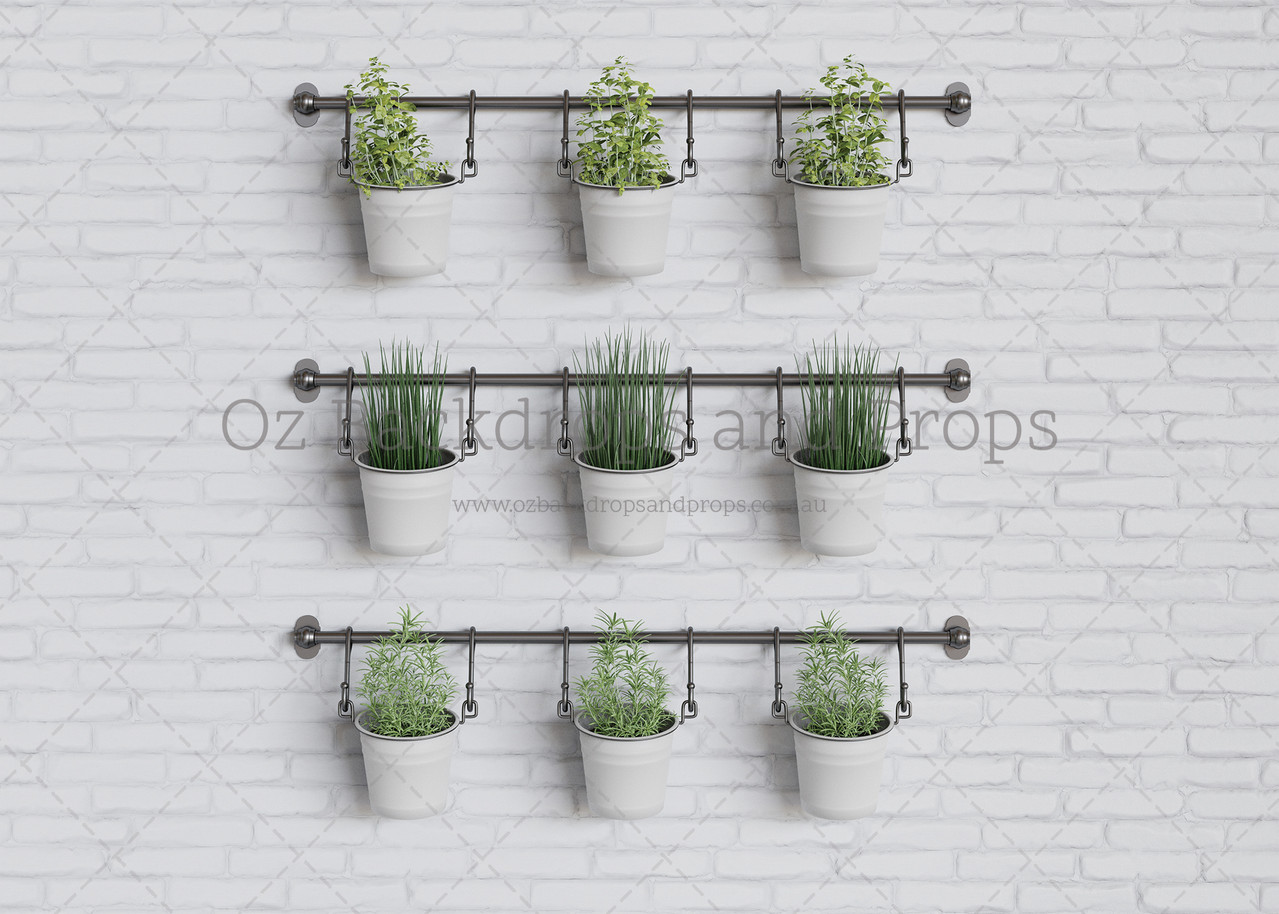 Hanging Herbs