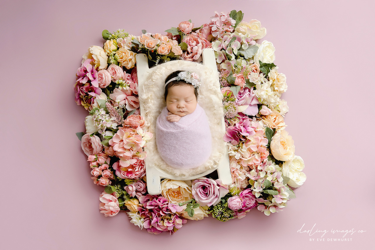 "Everley" A Darling Collection Digital Backdrop
