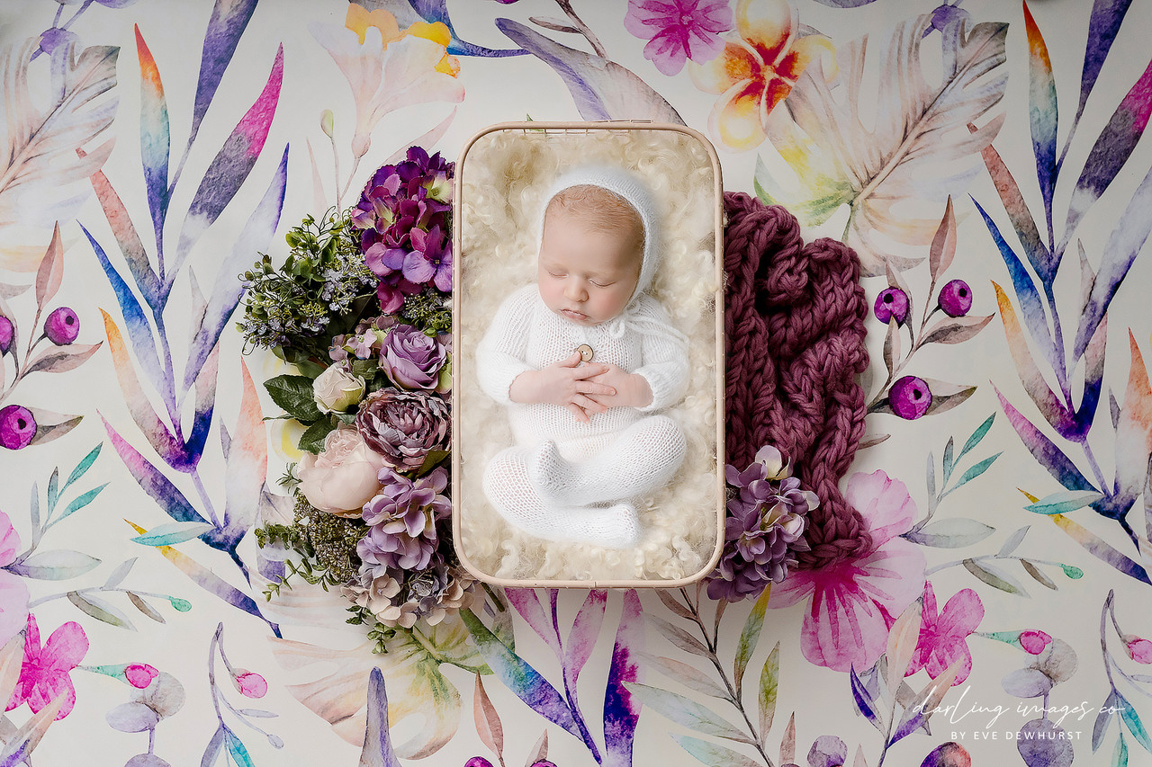 "Prudence" A Darling Collection Digital Backdrop