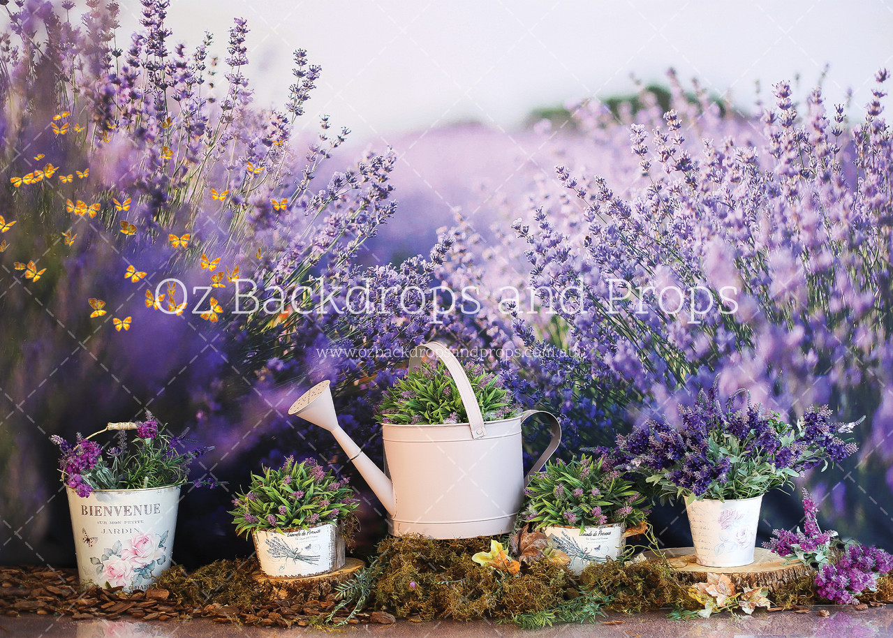 Lavender Garden