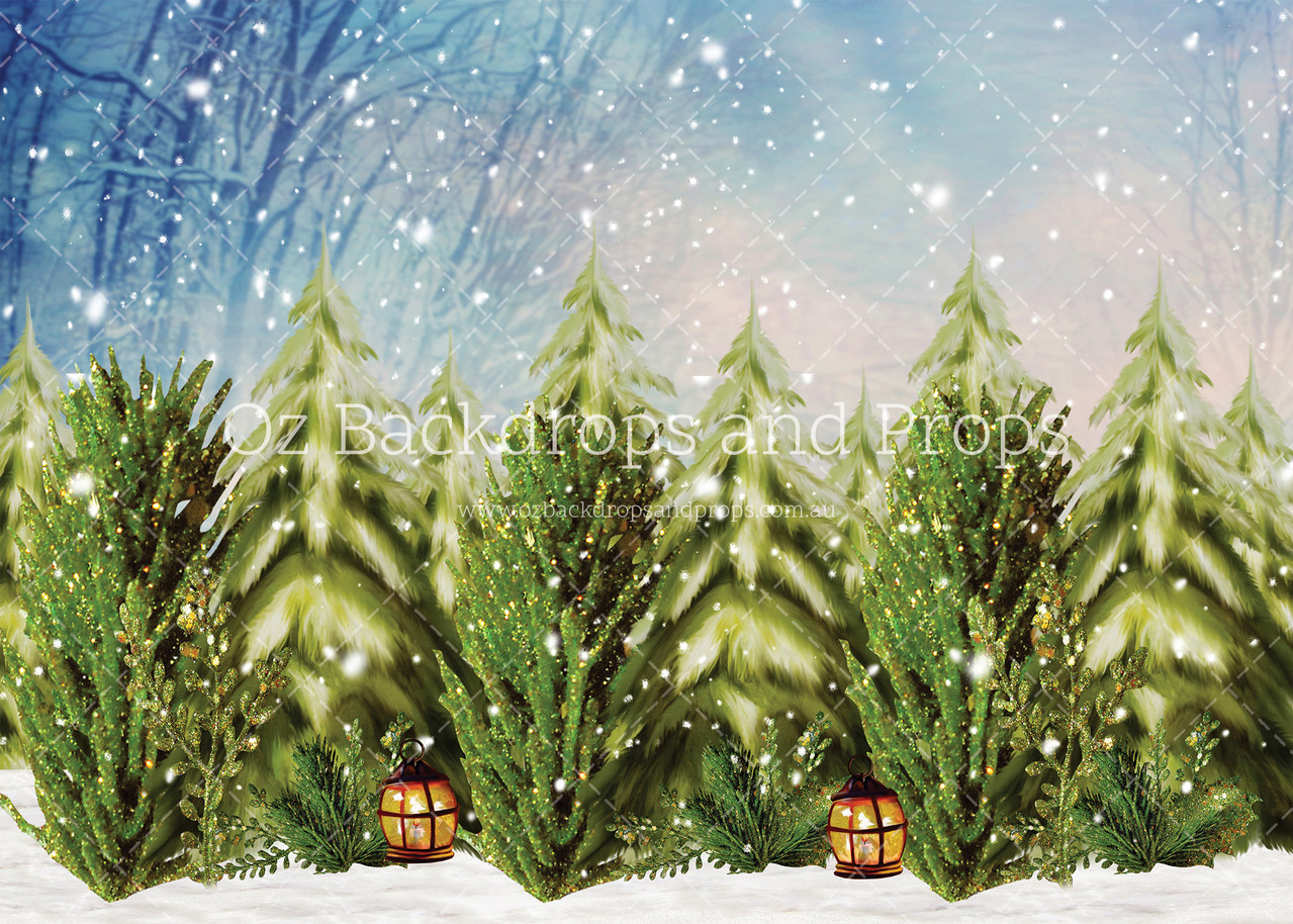 Little Lantern Pines