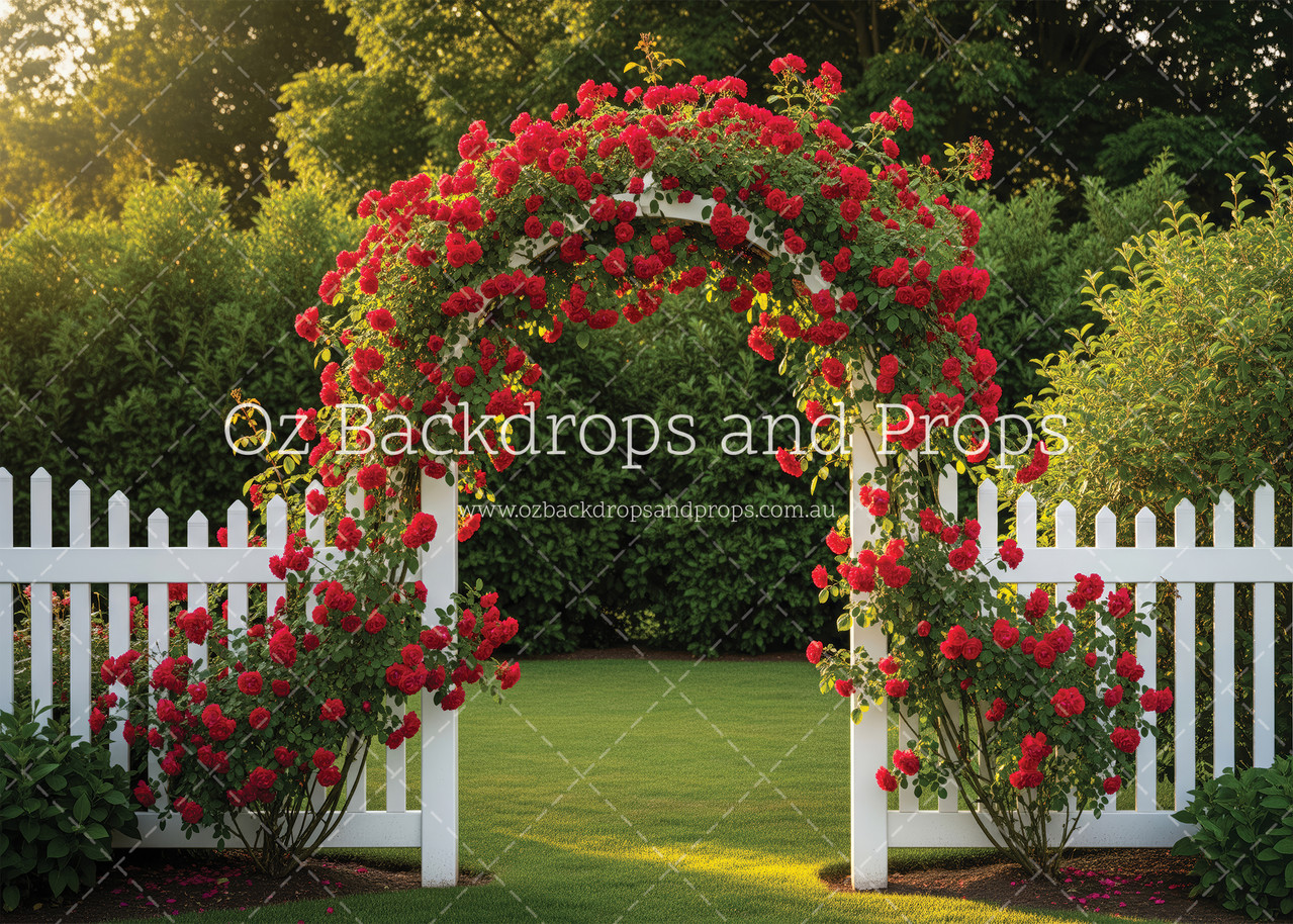 Garden Arbour Roses