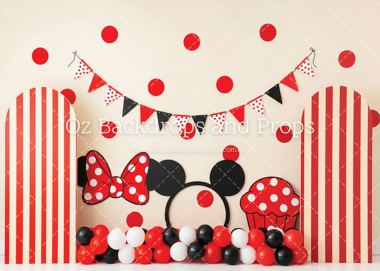 Striped Mickey Minnie