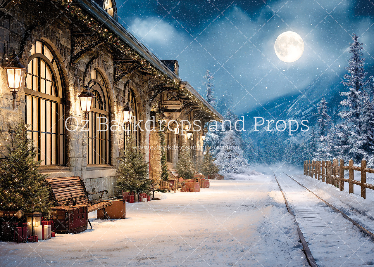 Winter Railway Station