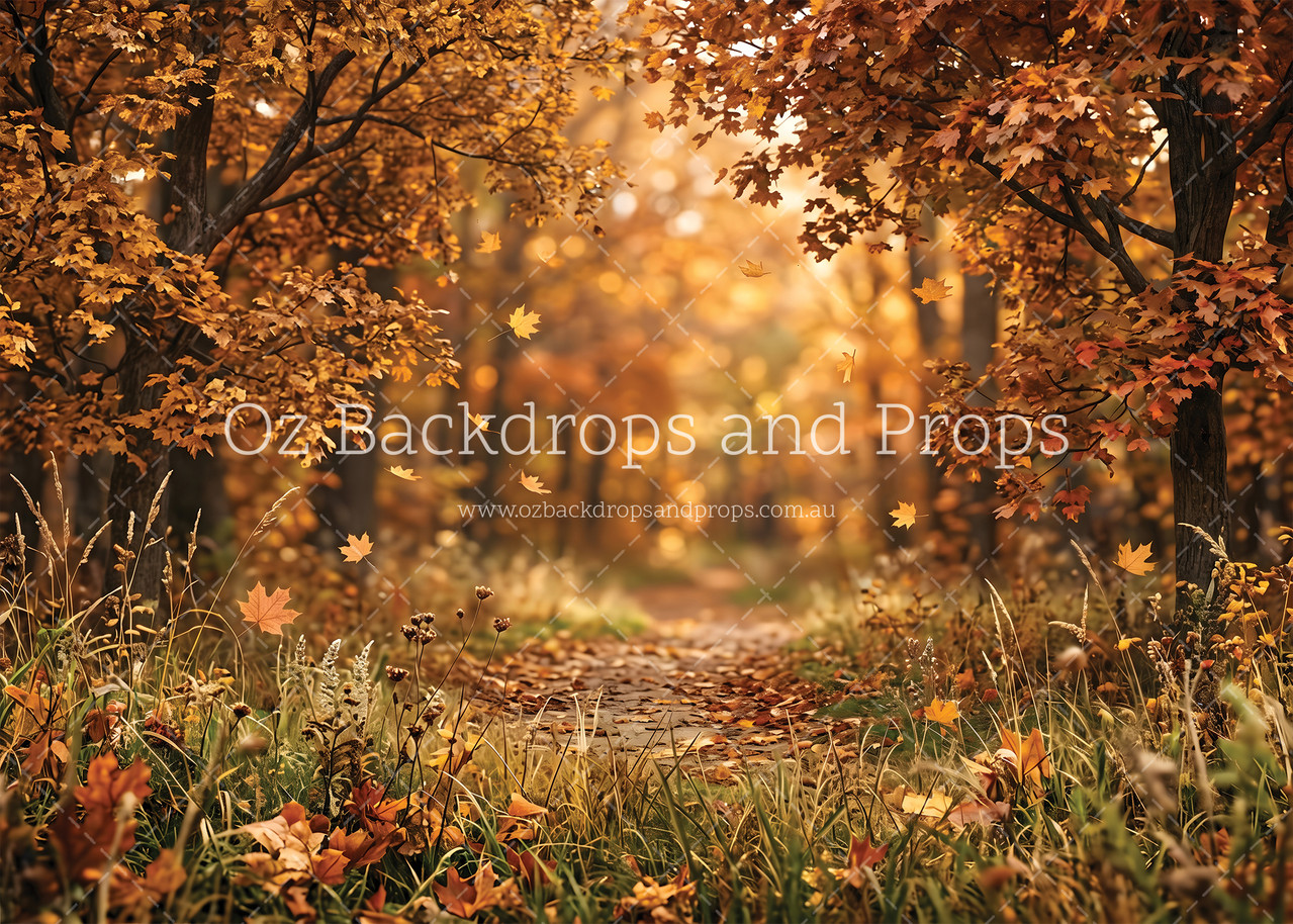 Fall Forest Walk