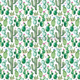 Cactus Theme