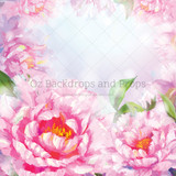 Pink Peonies