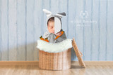 "Bunny in a Basket" Digital Backdrop