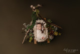 "Woodsman" A Darling Collection Digital Backdrop