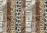 Safari Planks