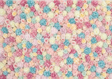 Pastel Flower Wall