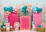 Circus Balloon Arch