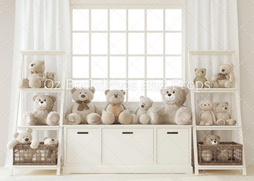 Little Bear's Playroom