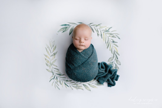 Olive Leaf Wreath - Newborn Posing Fabric