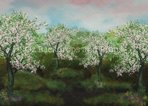 Cherry Blossom Field