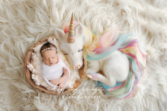 "Unicorn Dreaming" A Darling Collection Digital Backdrop