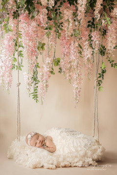 "Weeping Wisteria Swing" A Darling Collection Digital Backdrop