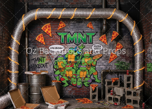 Ninja Turtles