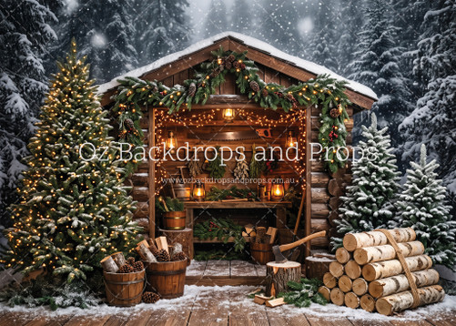 Winter Woodshed