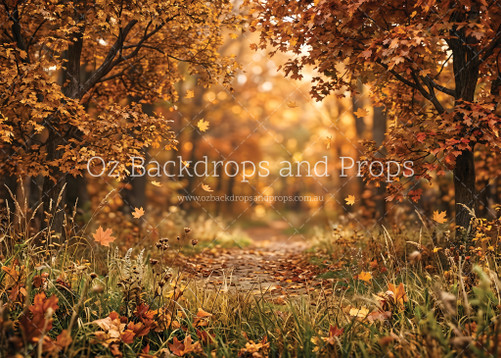 Fall Forest Walk