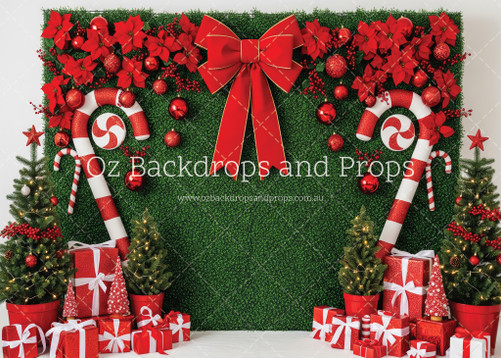 Christmas Greenery Wall