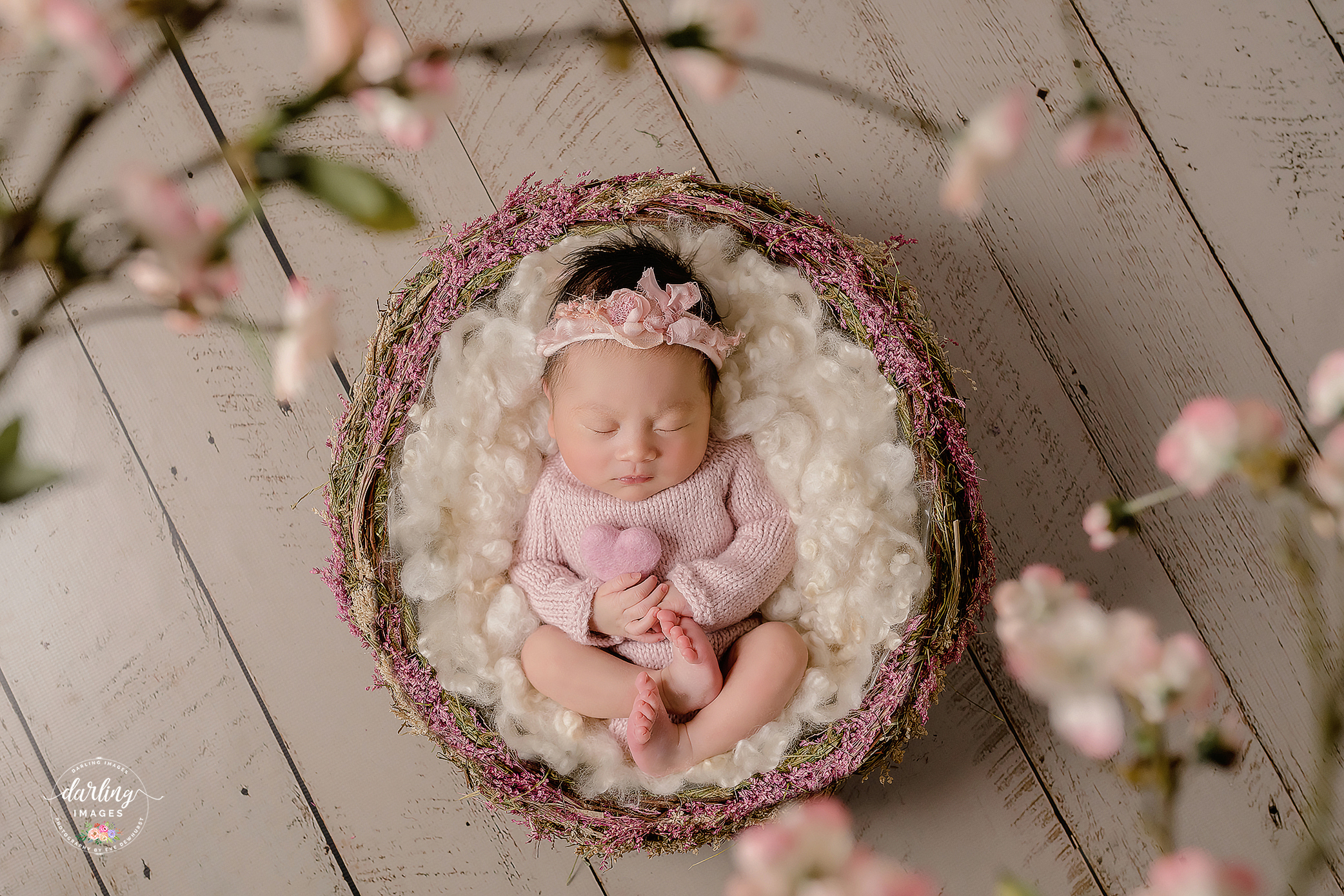 "Cherry Blossom View" A Darling Collection Digital Backdrop