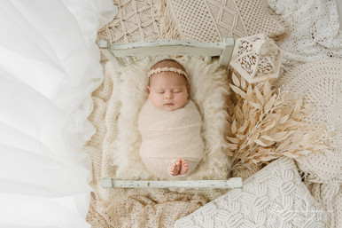 "Dreamy" A Darling Collection Digital Backdrop - Oz Backdrops & Props