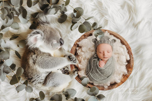 "Sweet Dreams Koala" A Darling Collection Digital Backdrop