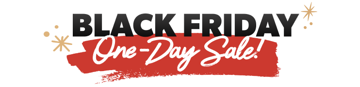 Black Friday Sale