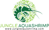 Jungle Aquashrimp