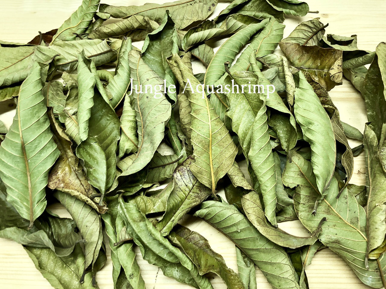 Dried Guava Leaves Jungle Aquashrimp